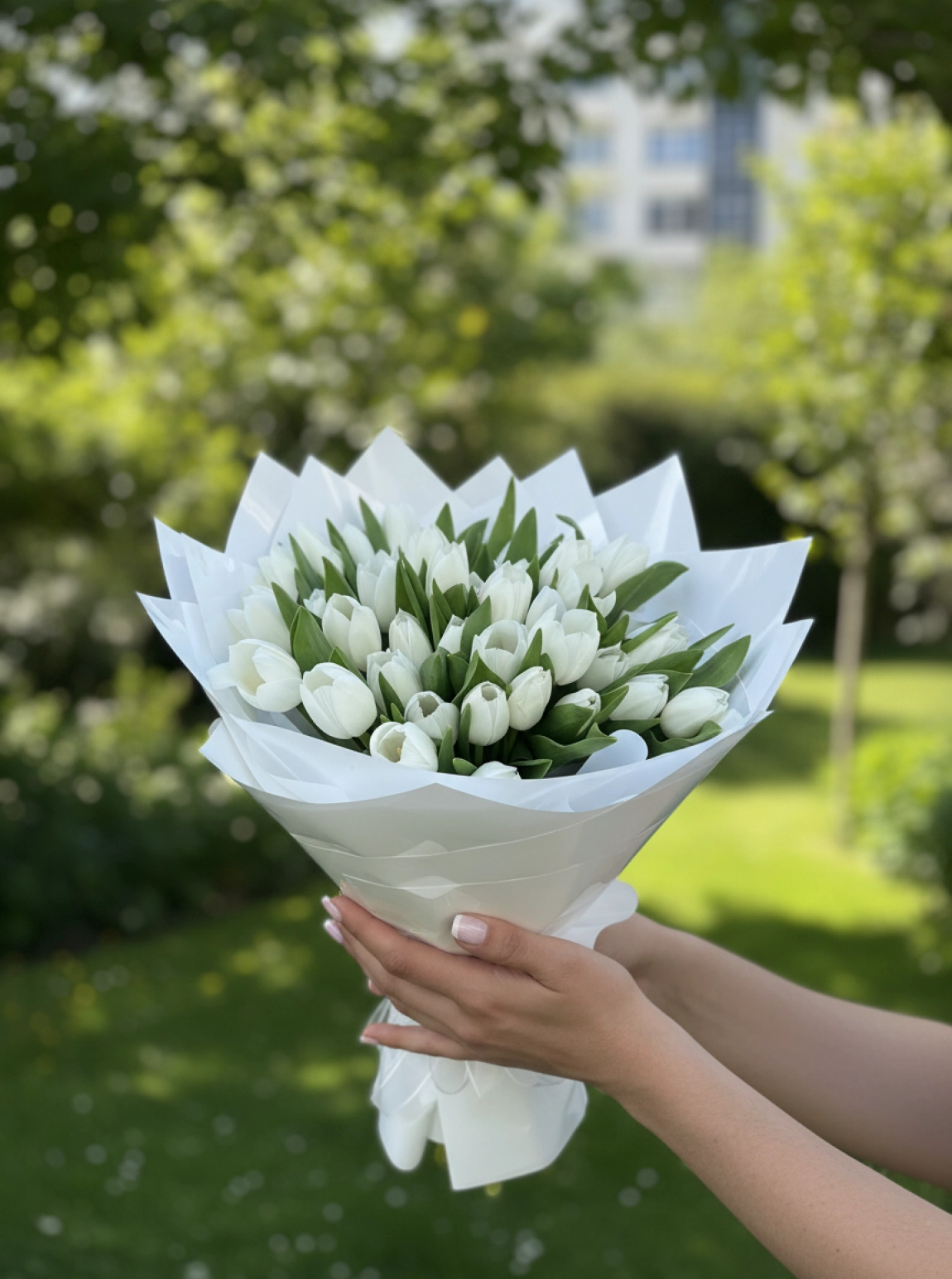 50 Adet Beyaz Lale Buketi