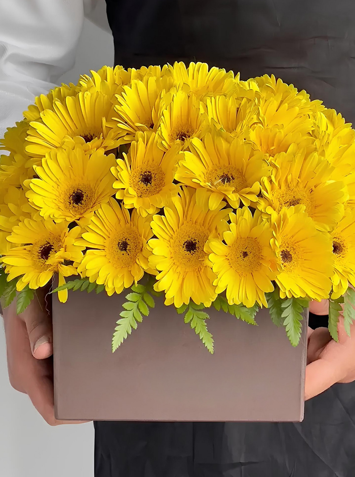 Kutuda Sarı Gerbera