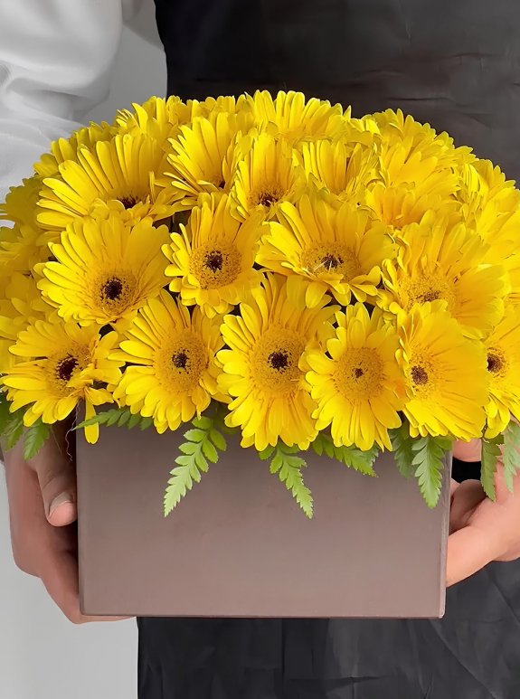 Kutuda Sarı Gerbera